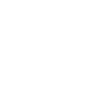 Creatively Disruptive Logo